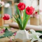 pexels amina filkins 5414038